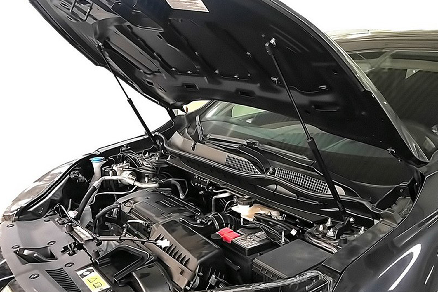 Упоры капота для HONDA CR-V 2017-2023 (V), 2019-2023 (V рестайлинг) Arbori 2 шт. / Хонда ЦРВ